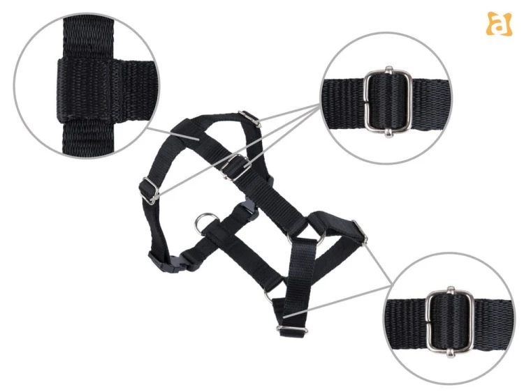 Szelki Guard Samba L Czarny