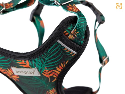 Szelka Discovery BeHappy M Jungle