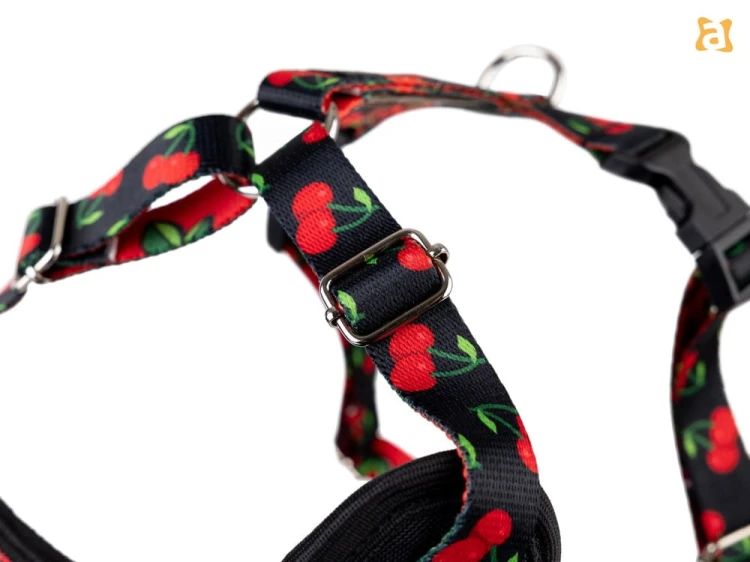 Szelka Discovery BeHappy XXL Cherry