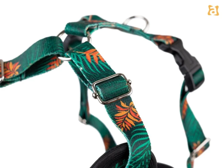 Szelka Discovery BeHappy XL Jungle