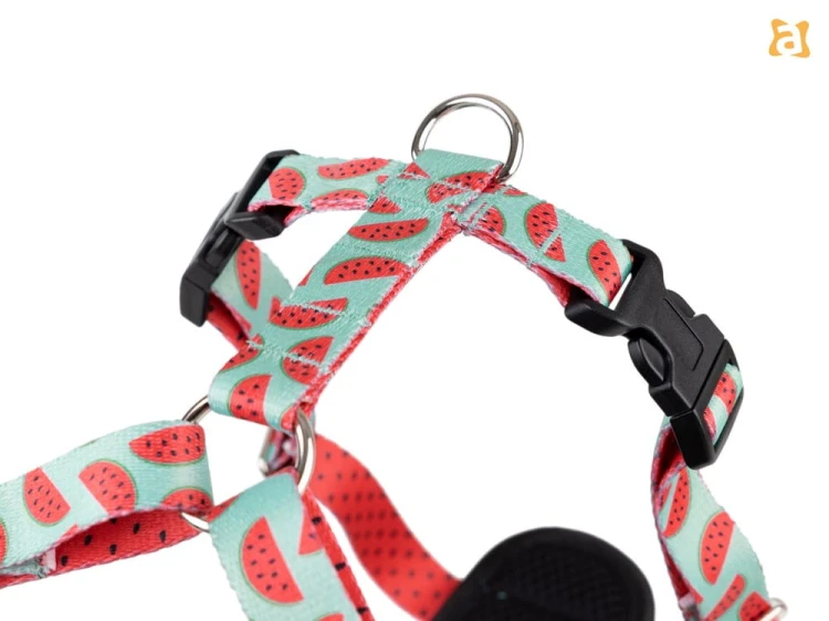 Szelka Discovery BeHappy S Watermelon