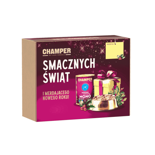 Champer zestaw świąteczny dla psa