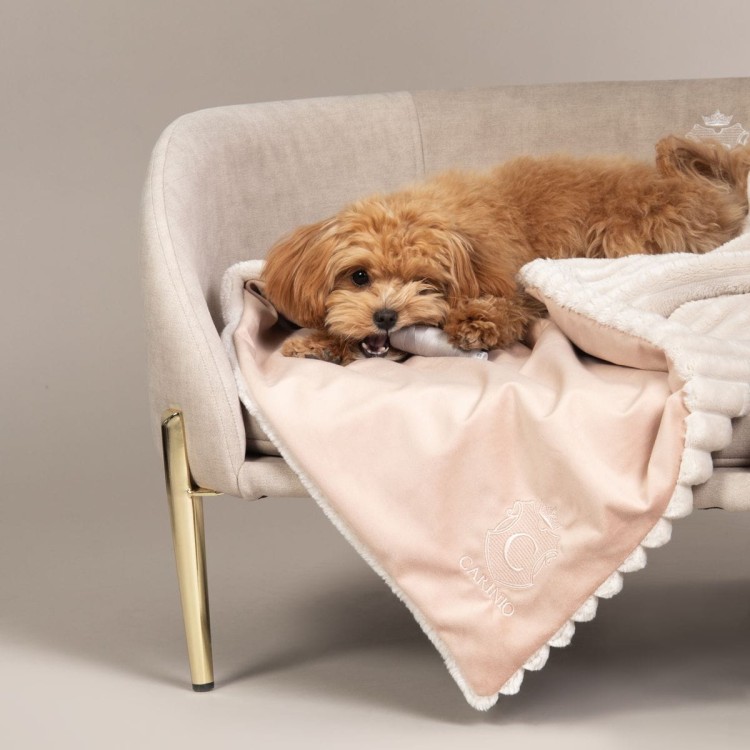 Kocyk / Otulacz dla zwierząt SOPHIE (S) Rose