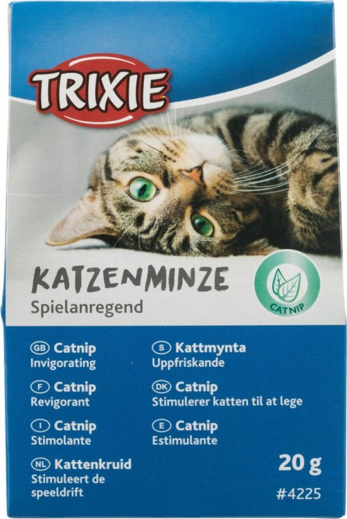 KOCIMIĘTKA 20g W KARTONIKU