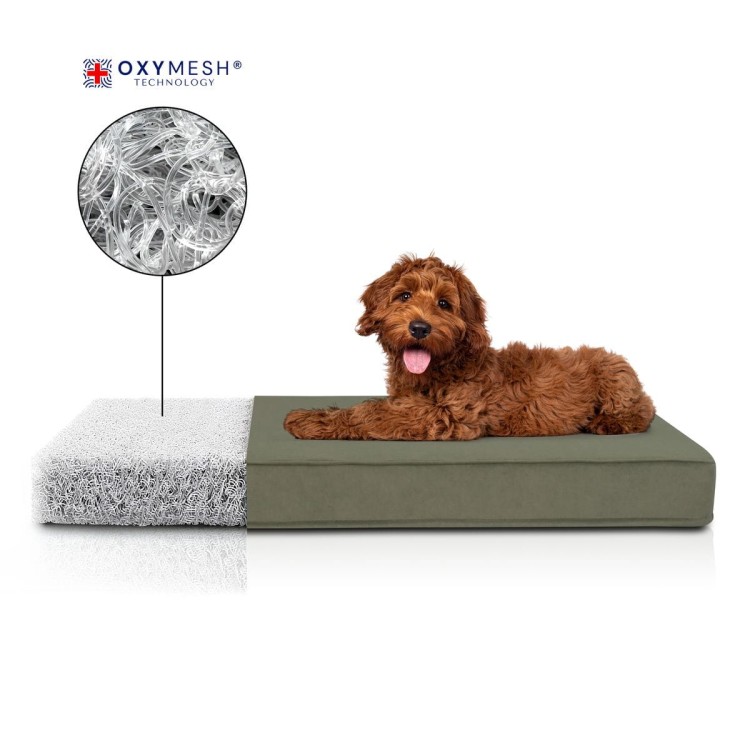Materac ortopedyczny dla Psa OTOMAN XL Forest