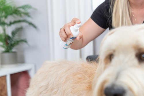 SPRAY ANTYKŁACZĄCY 175ml