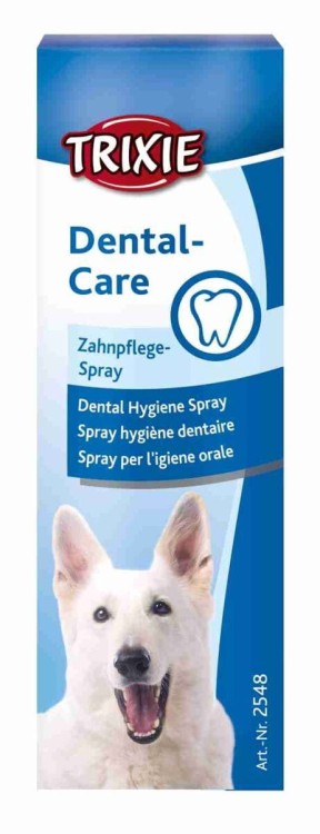 SPRAY DO CZYSZCZENIA ZĘBÓW 50ml