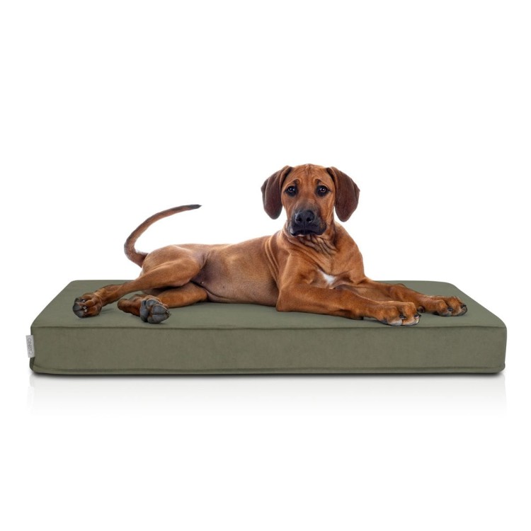 Materac ortopedyczny dla Psa OTOMAN XL Forest