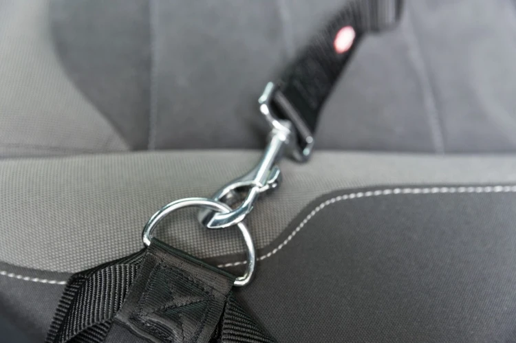 SMYCZ KRÓTKA DO SZELEK DLA PSA 30MM