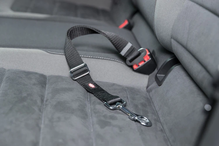 SMYCZ KRÓTKA DO SZELEK DLA PSA 30MM