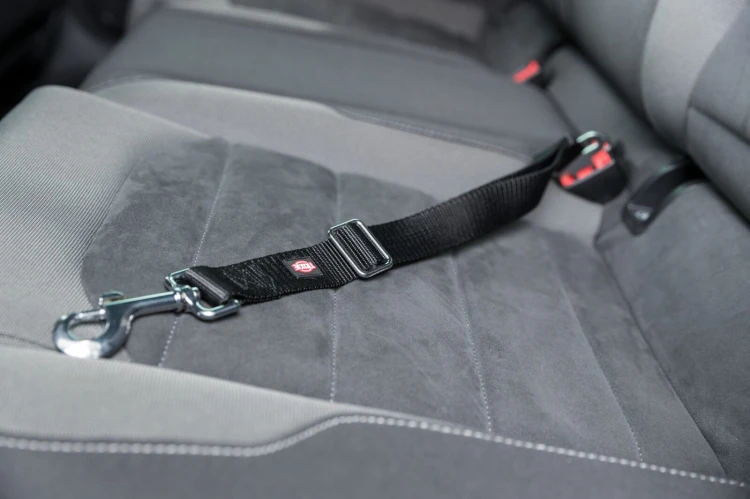 SMYCZ KRÓTKA DO SZELEK DLA PSA 30MM