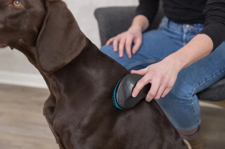 Miękka szczotka, 19 cm