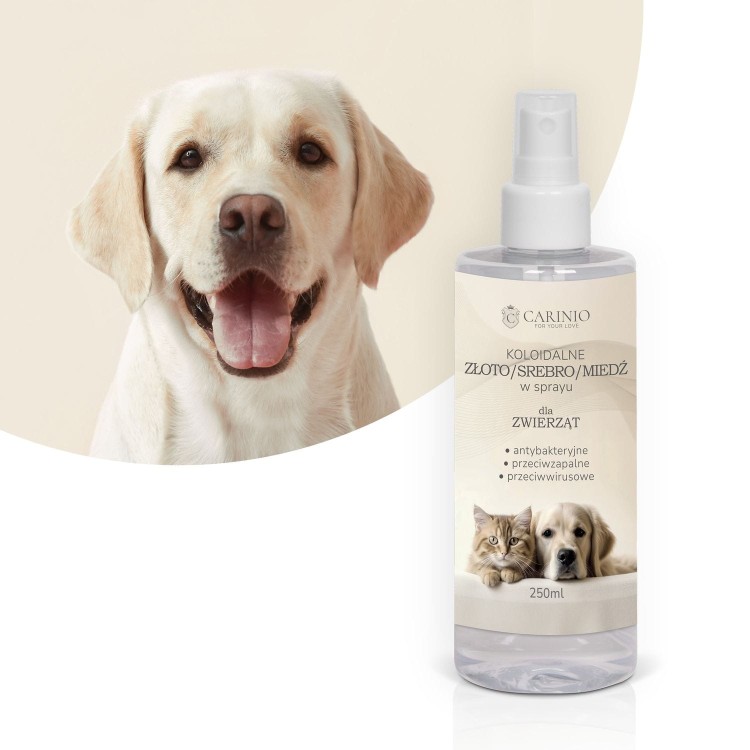 Koloidalne srebro złoto miedź w sprayu 250 ml