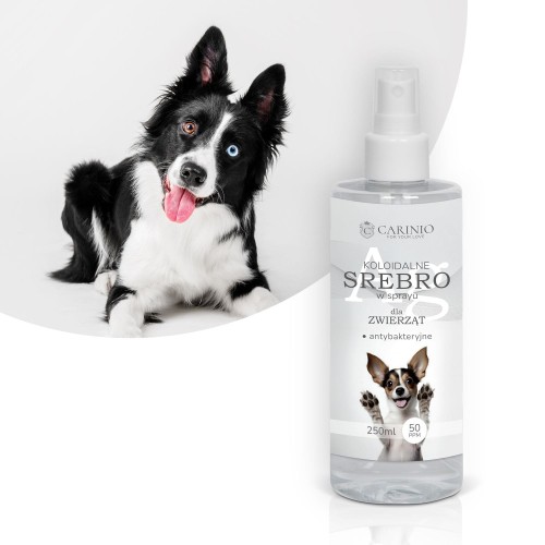 Koloidalne srebro w sprayu 250 ml