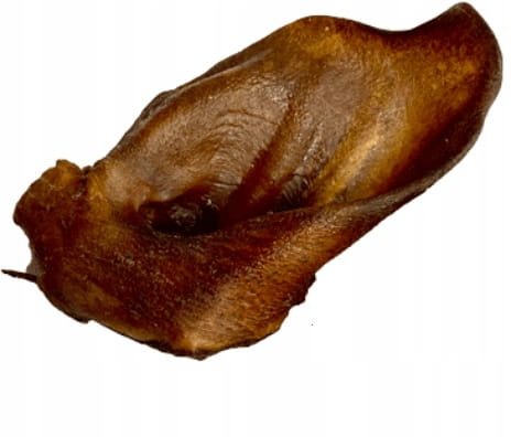 Ucho dzika  (opak. 1 szt.)  Balto