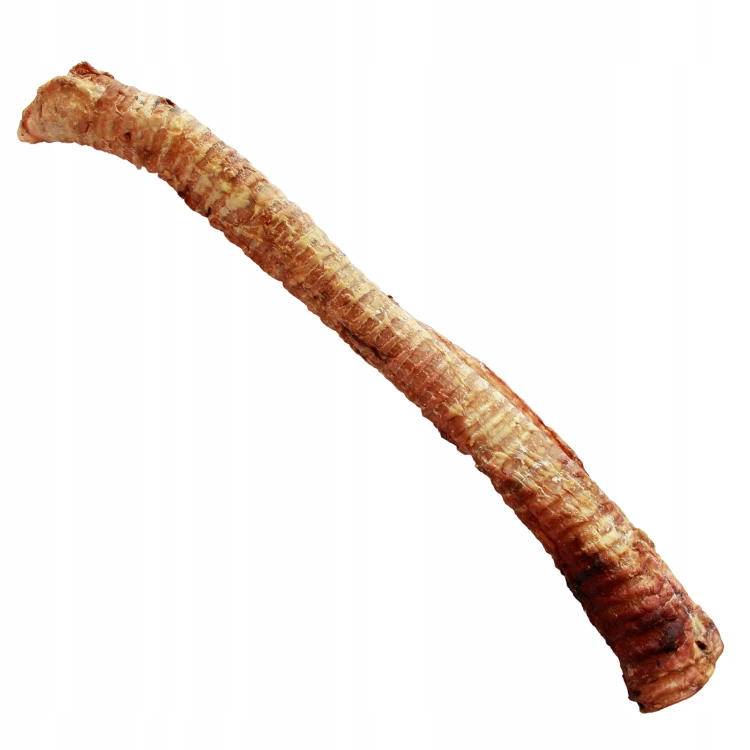 Tchawica wołowa (opak. 1 szt.) Balto