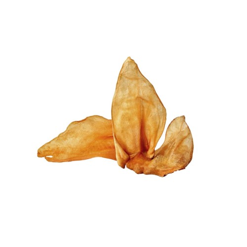 Naturalny gryzak Ucho wołowe bez pierścienia 10szt. Jurajskie Ranczo