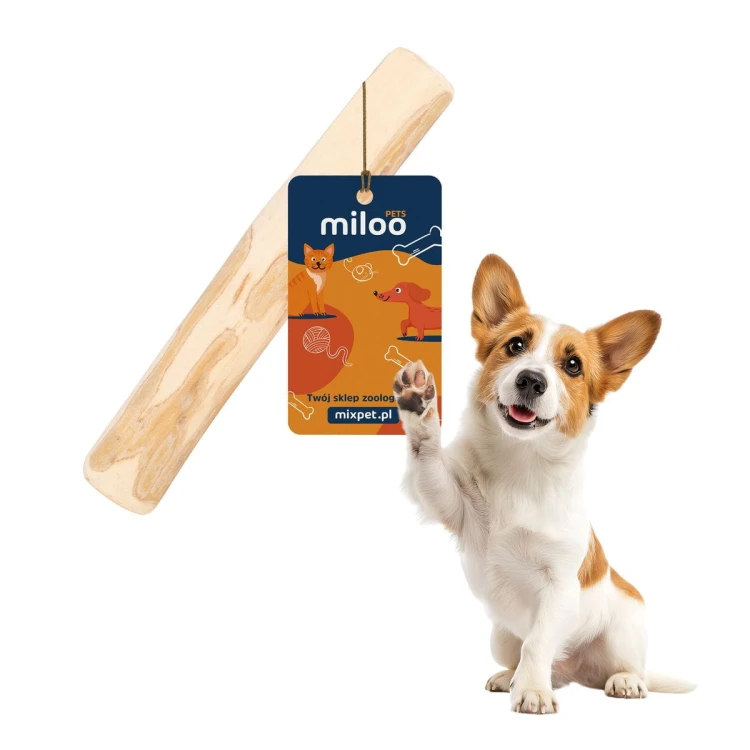 Gryzak - kość z drewna kawowego (m) - Miloo Pets