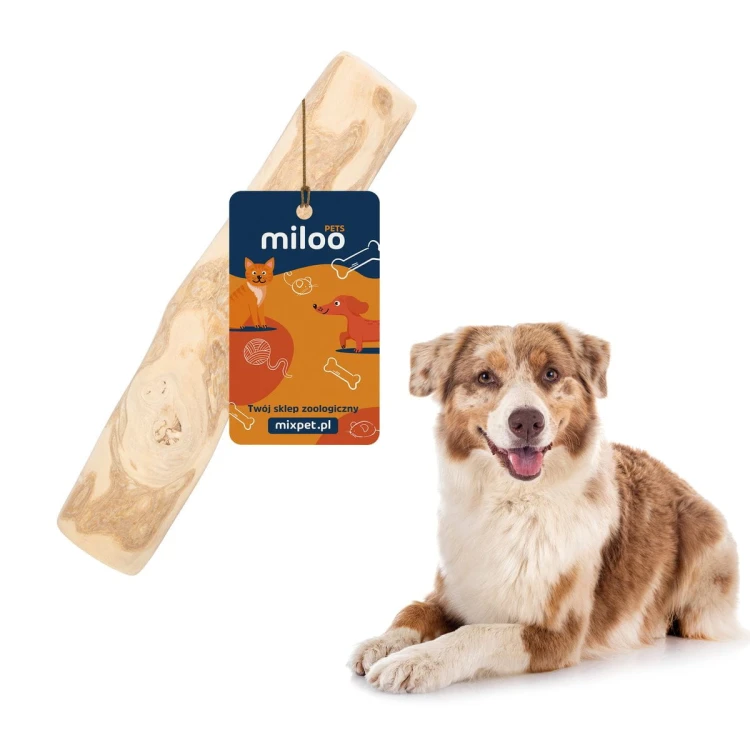 Gryzak - kość z drewna kawowego (L) - Miloo Pets