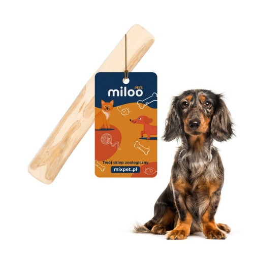 Gryzak - kość z drewna kawowego (S) - Miloo Pets
