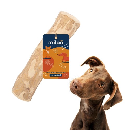 Gryzak - kość z drewna kawowego (XL) - Miloo Pets