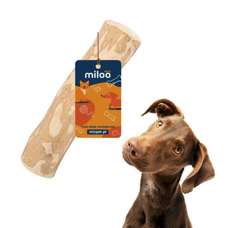 Gryzak - kość z drewna kawowego (XL) - Miloo Pets