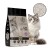 Żwirek bentonitowy Carinio Lavender 10l