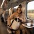 Torba, transporter dla zwierząt MilooPets - TRAVELLY Cream