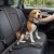 Smycz z amortyzatorem dla psa 130cm  MilooPets - czarna