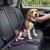 Smycz z amortyzatorem dla psa 130cm  MilooPets - fioletowa