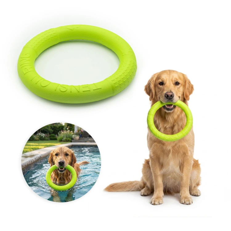 Ring pływający do rzucania dla psa MilooPets - XL zielony