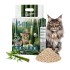 Żwirek naturalny Carinio Boss Sand Bamboo 2,5kg