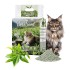 Żwirek naturalny Carinio Boss Sand Green Tea 2,5kg