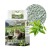 Żwirek naturalny Carinio Boss Sand Green Tea 2,5kg