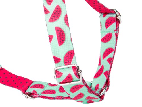 Szelki Guard Be Happy L Watermelon