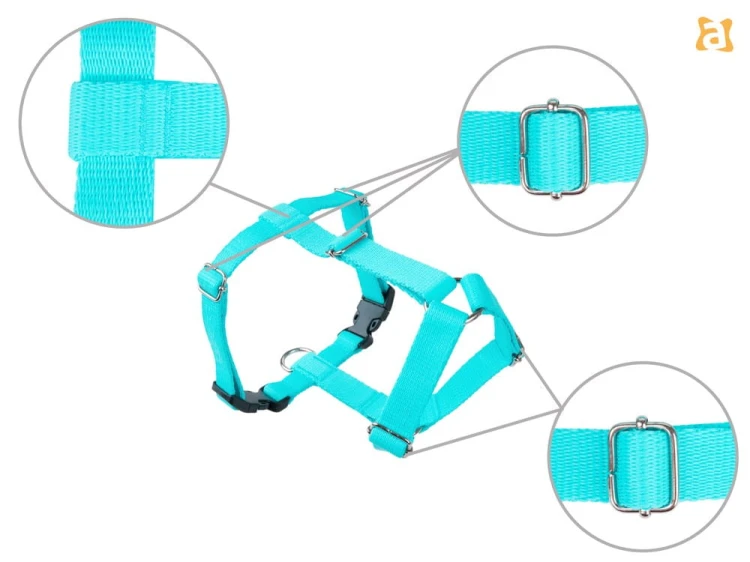 Szelki Guard Samba S Turkusowy