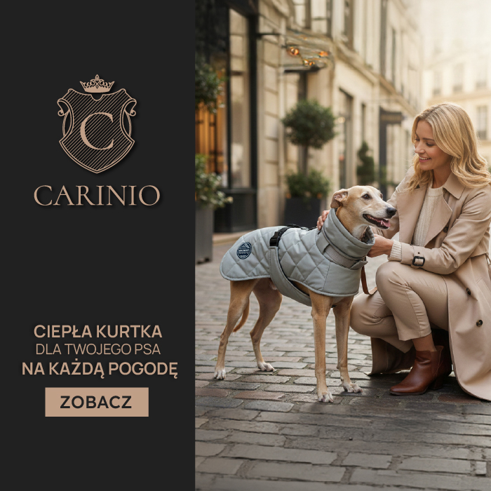Ubranka dla psa