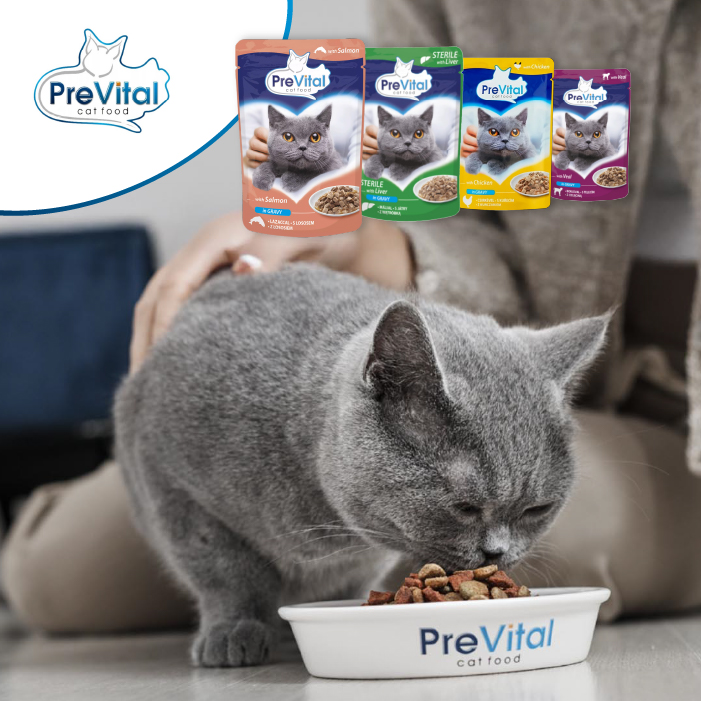 PROMOCJE