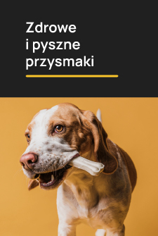 64_baner_pion.jpg
