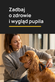 61_baner_pion.jpg