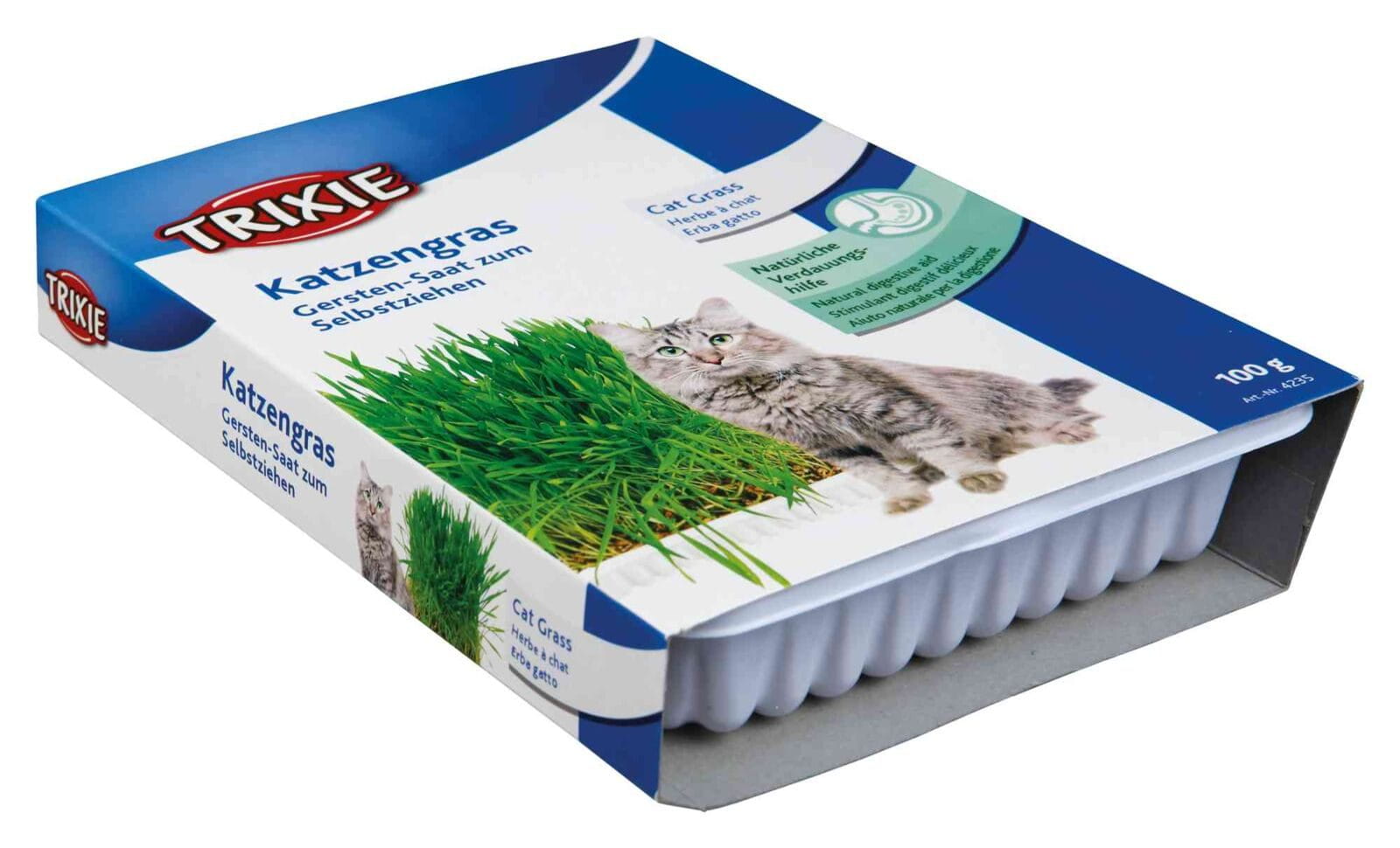 TRAWA DLA KOTA W POJEMNIKU 100gr