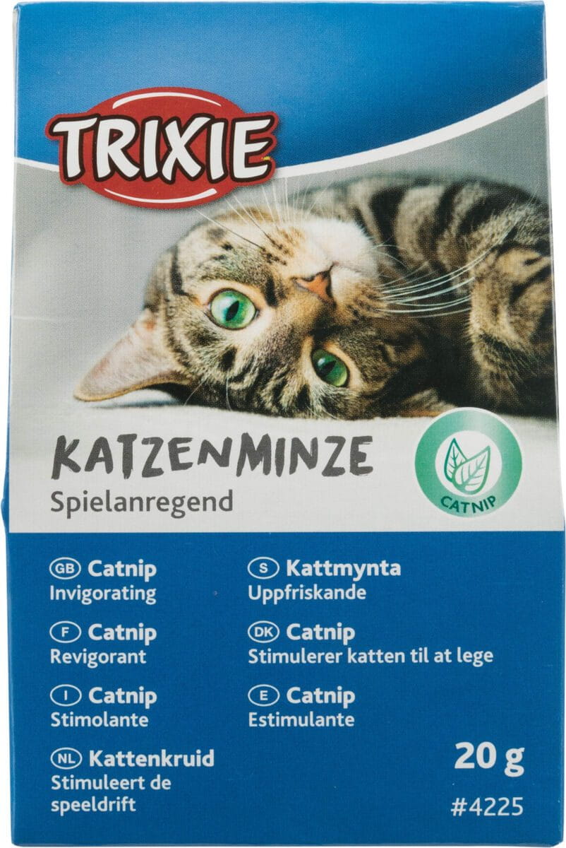 KOCIMIĘTKA 20g W KARTONIKU