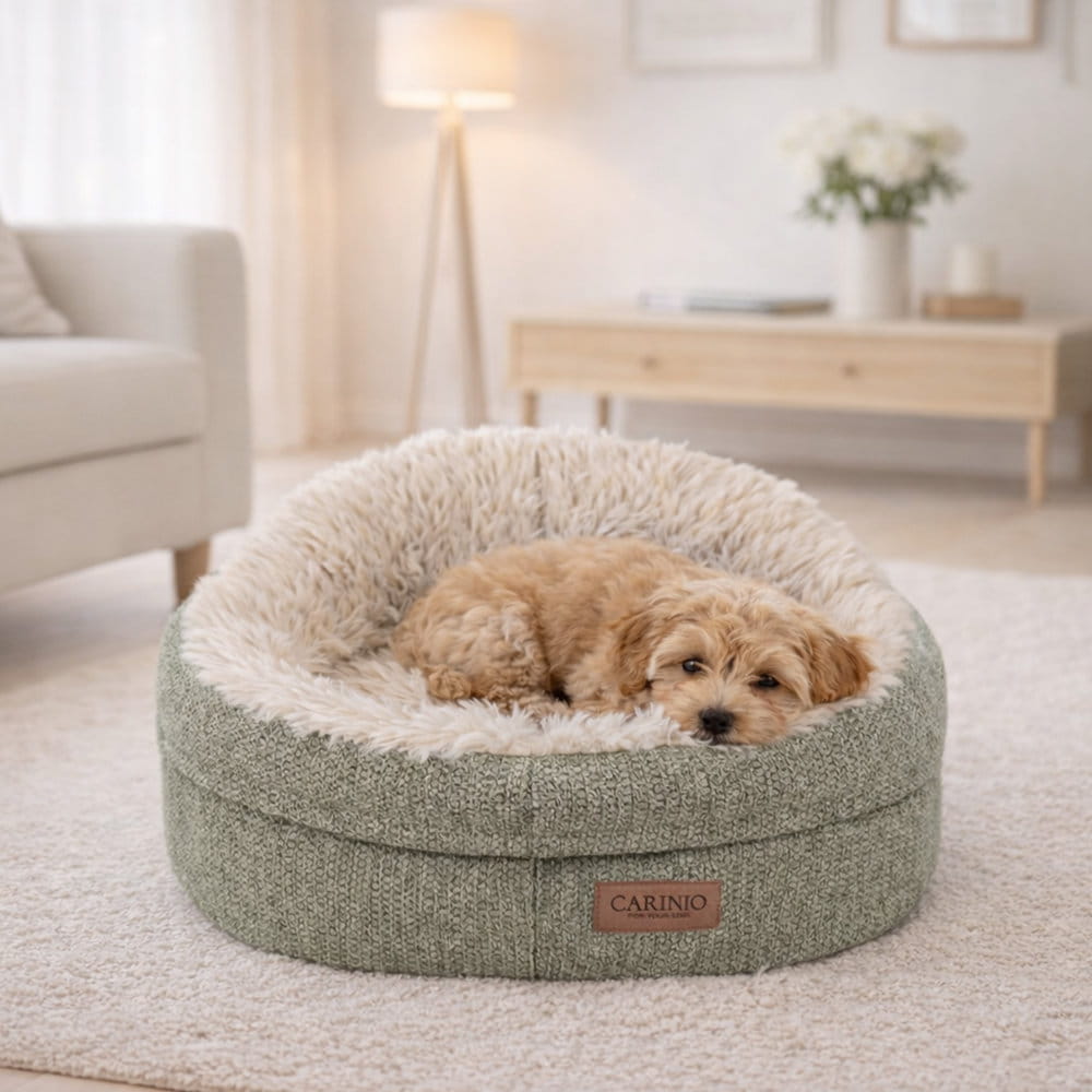 Legowisko COSY olive we wnętrzu