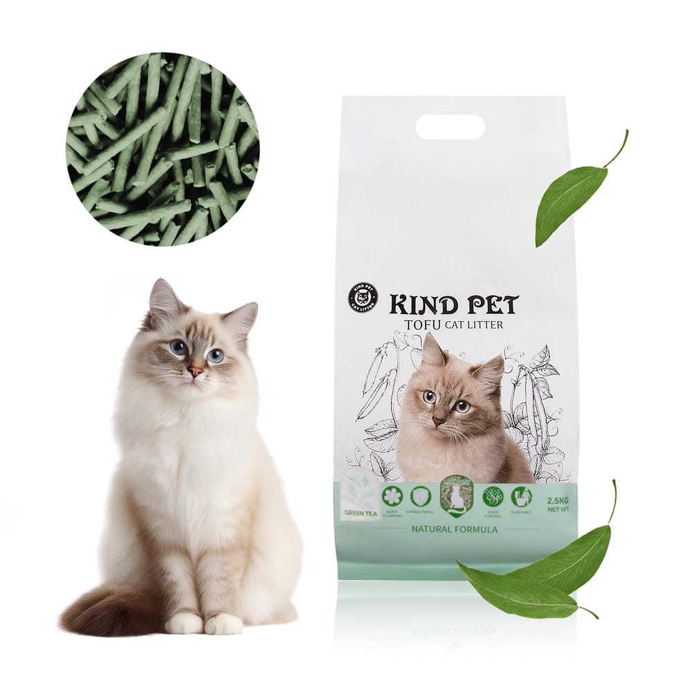 Kot przy worku żwirku tofu Kind Pet Green Tea 2,5 kg