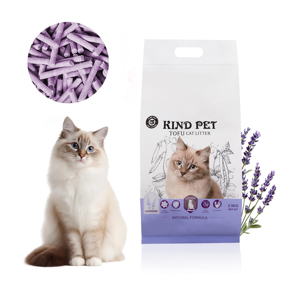 Kot przy worku żwirku tofu Kind Pet Lavender 2,5 kg