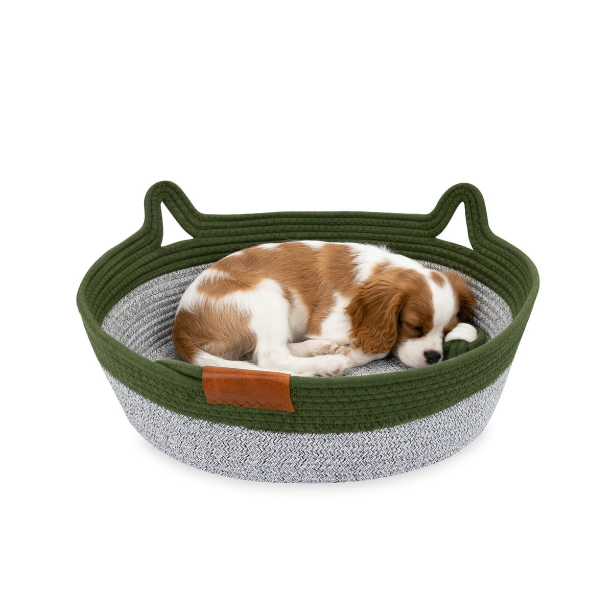 Pies odpoczywający w plecionym legowisku Carinio TAIL PLAY Green