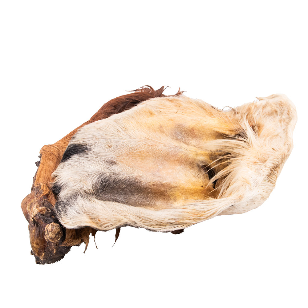 Naturalny gryzak Ucho wołowe z futrem Jurajskie Ranczo - 2 szt — zdjęcie 3