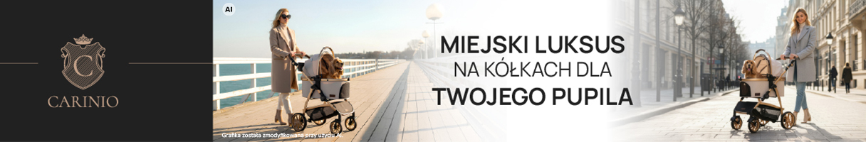 Wózki dla psów