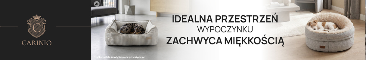 Legowiska dla psów